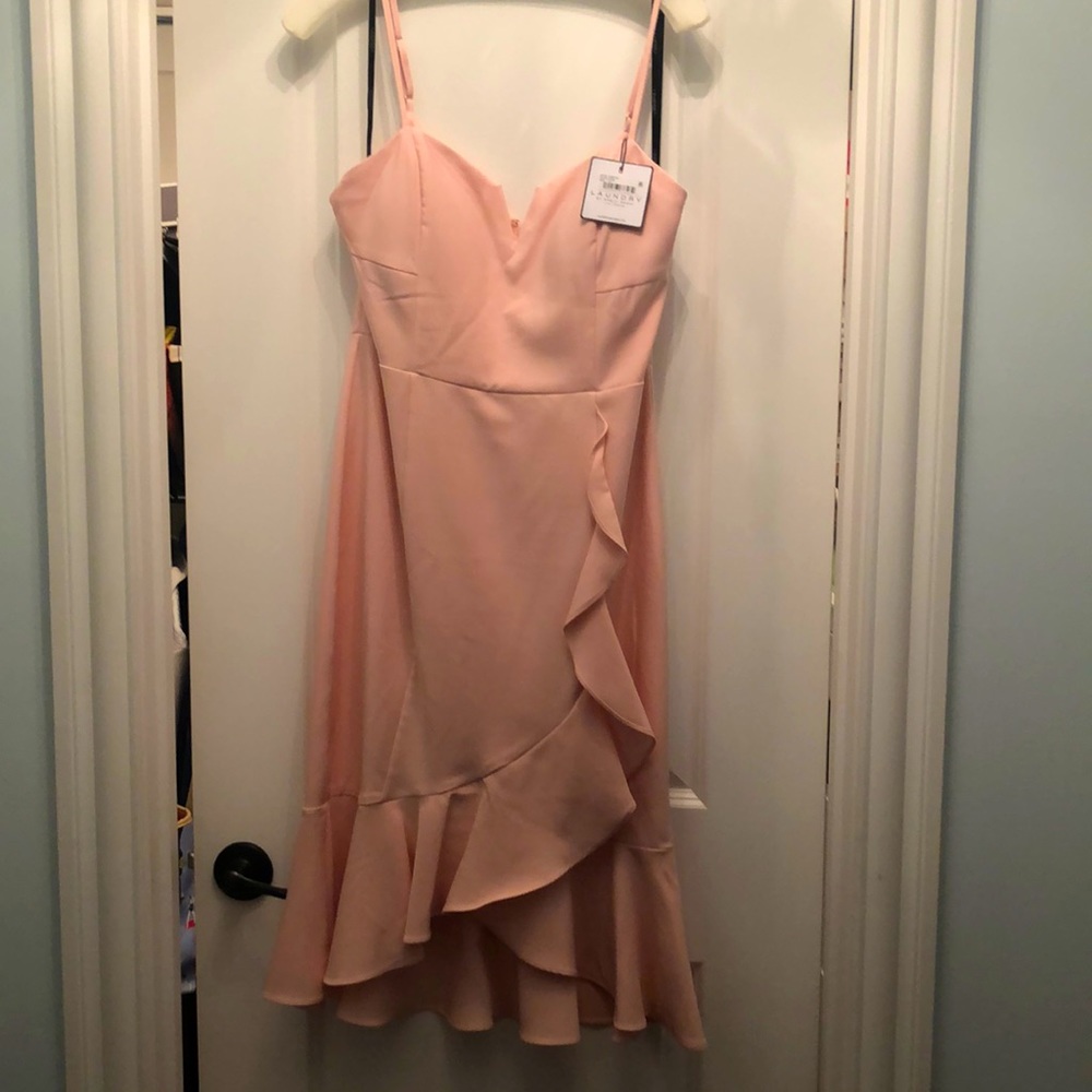 Blush Pink Ruffle Hem Dress